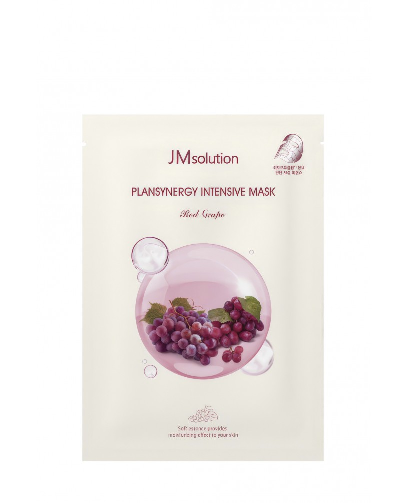  JMsolution Plansynergy Intensive M..